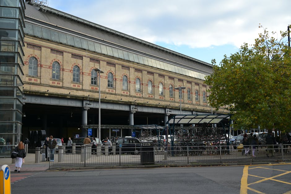A large brick and glass building with arched windows and decorative brickwork features prominently in the background, situated above an elevated roadway supported by concrete pillars. In the foreground, there are several people standing on a paved pavement next to a fencing barrier, some engaging in conversation or waiting. To the right, a bicycle rack filled with numerous bikes is visible, covered by a protective curved canopy. Parked cars are aligned along the street, and a few trees with green and yellow leaves line the pavement, indicating an outdoor urban environment. The scene is illuminated by daylight with a partly cloudy sky overhead. This setting captures a busy city area near Turnpike Lane station, relevant to house removals and home relocation logistics, with individuals possibly waiting for transport or preparing for a move, supported by a professional removals firm like Harringay Removals.